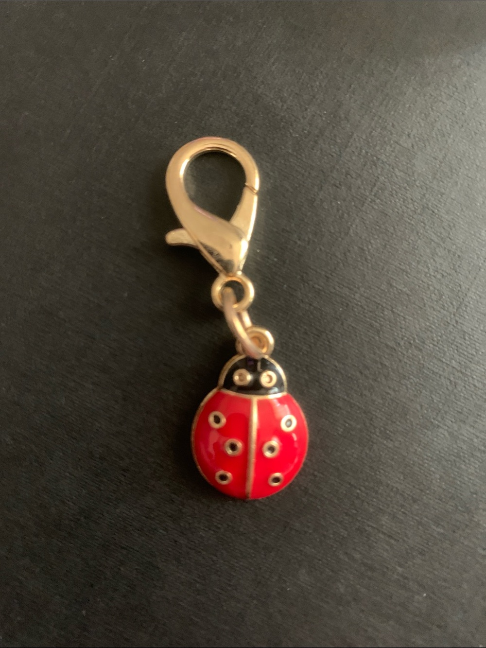 Ladybug Enamel Charm Keyring - Red and Black